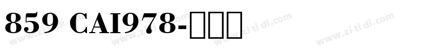 859 CAI978字体转换